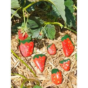 Strawberry Painted Rocks Garden Art Decor‎ Paperweights Set of 6